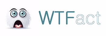 Логотип Wtfact.ru